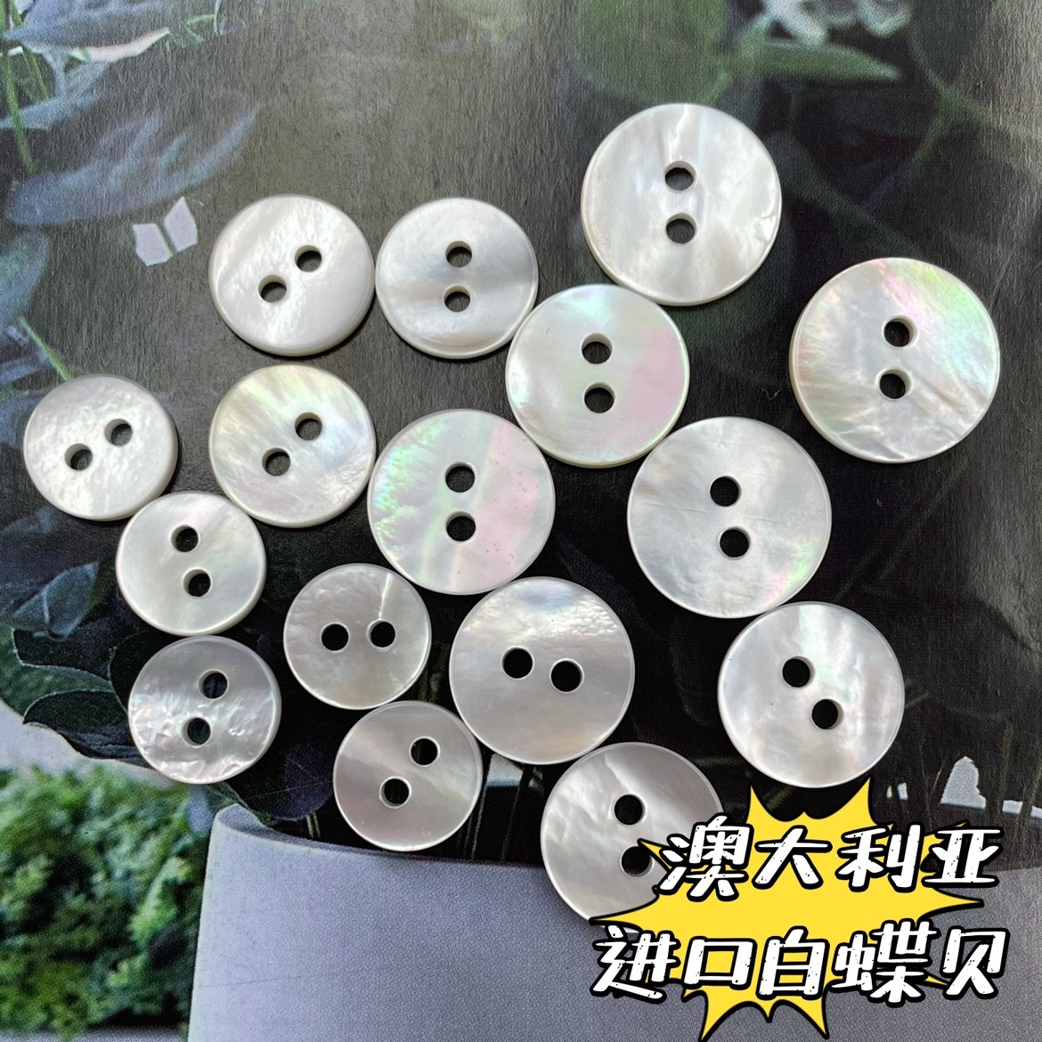 澳大利亚进口白蝶贝贝壳扣两眼平面纽扣定制衬衫扣
