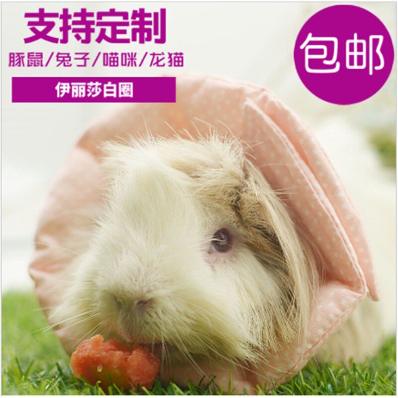 定制可调节伊丽莎白圈兔子荷兰猪龙猫可爱头罩防抓防咬防舔项圈