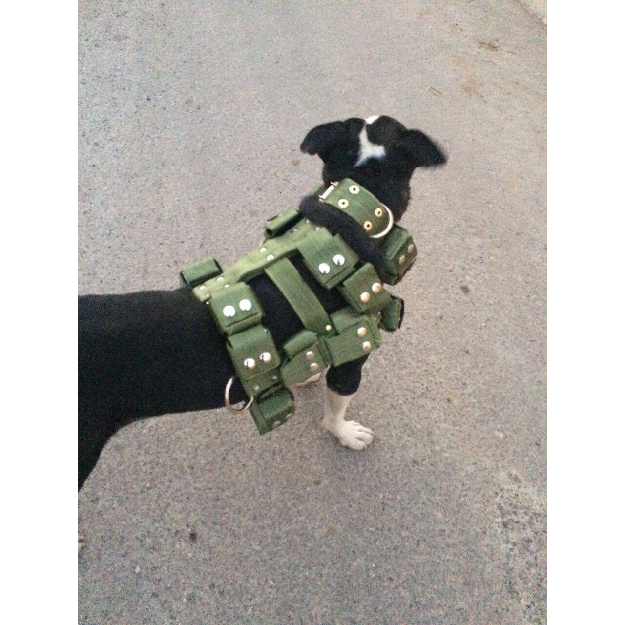 比特犬训练装备用品,25斤负重训练装备,抱婴袋