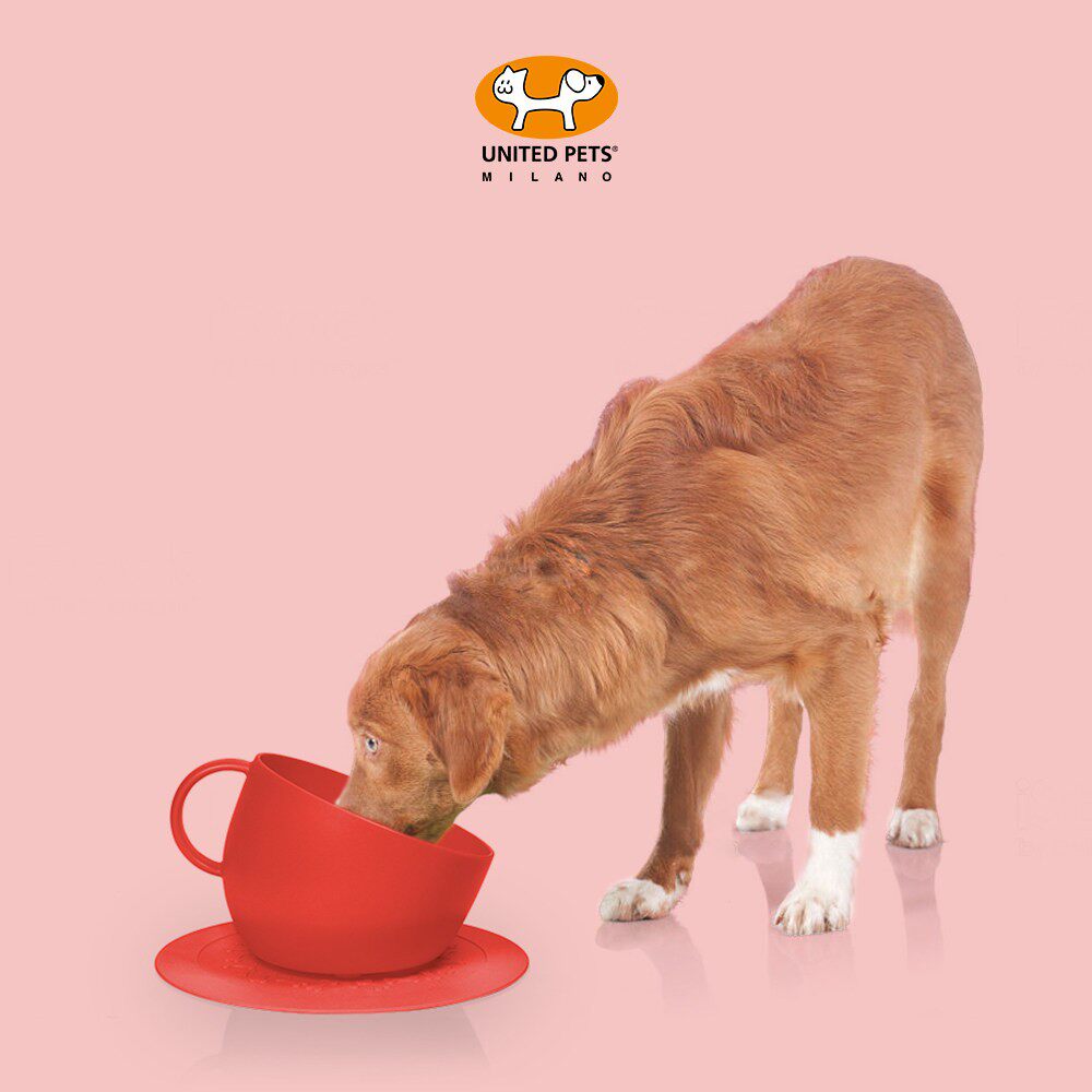 意大利UNITED PETS 咖啡杯宠物猫碗狗碗带碗垫套装食盆水碗