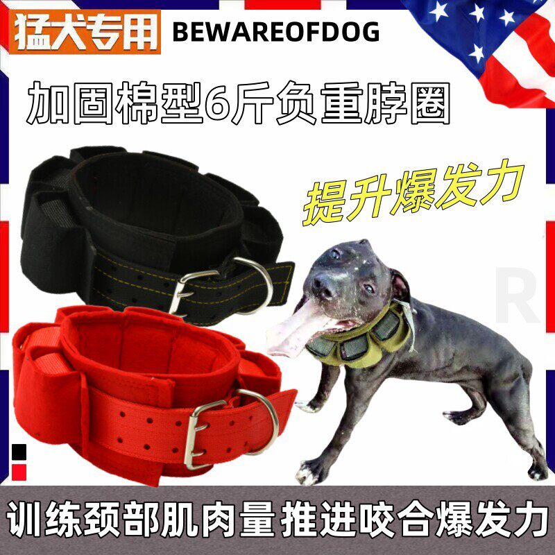 比特犬负重脖圈固定式6斤 猛犬训练肌肉斗狗防磨项圈铁块装备用品