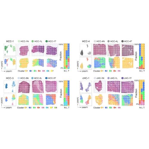 农学园艺SCI生信分析2-5转录组基因组测序数据生信挖掘 科研服务