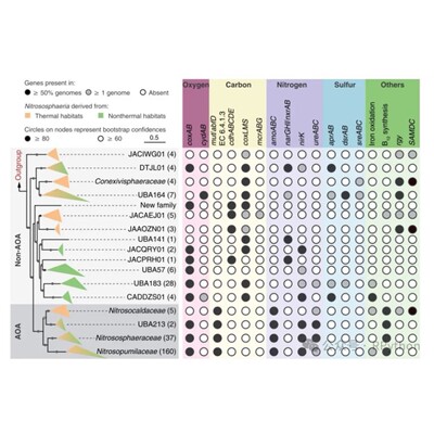 分子对接分子动力学模拟虚拟筛选生信分析网络药理学