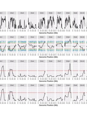 植物基因组BSA混池分析/基因图位克隆/QTL定位分析