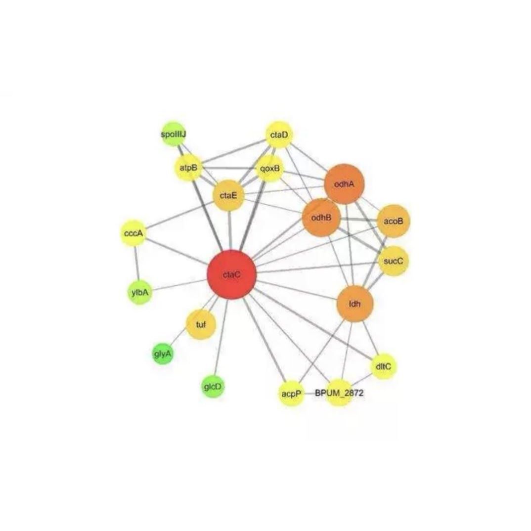 科研思路实验设计火山图绘制医学实验病理检测生信分析