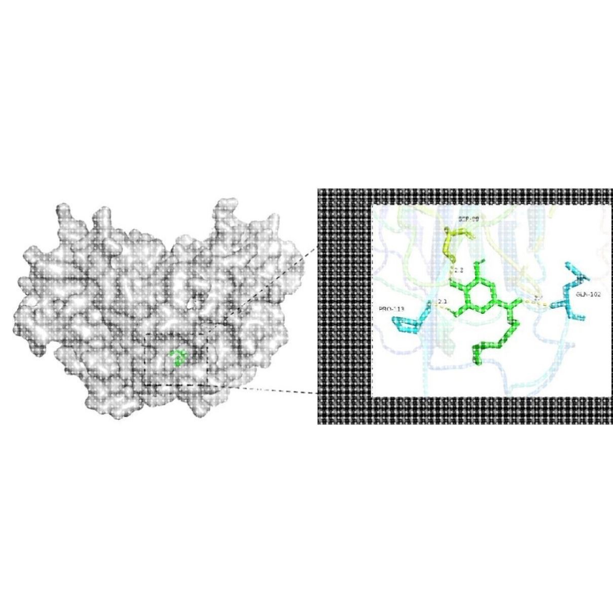分子对接 分子动力学模拟 Autodock分子对接 PyMOL可视化