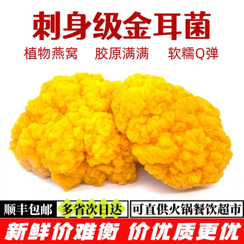 精选新鲜金耳菌可刺身糖水火锅