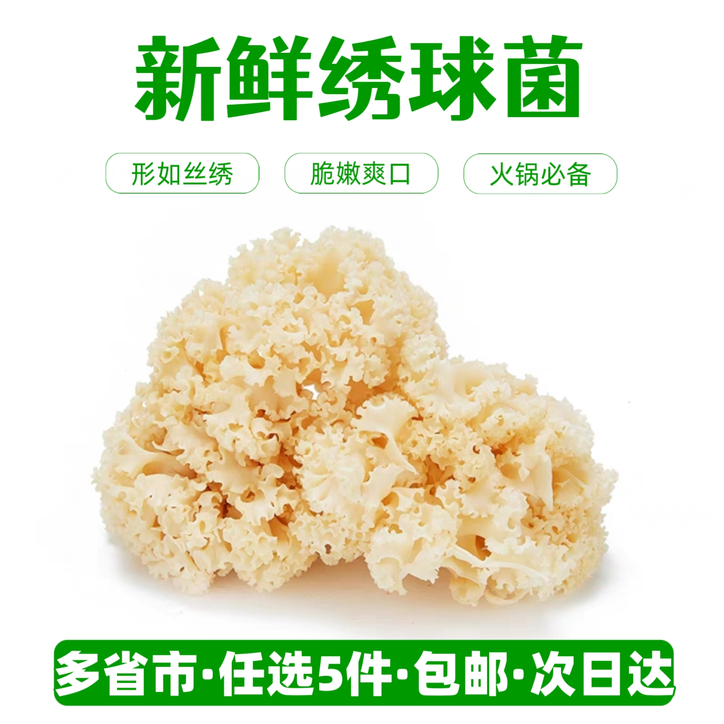 新鲜绣球菌鲜嫩爽口火锅食材图片