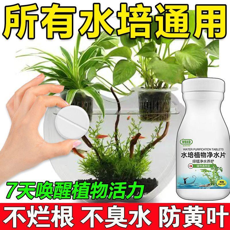 水培植物营养片通用型富贵竹兰花水养花肥家用盆栽水培有机净水片