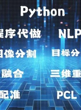 程序代做python检测分割重建深度学习NLP数据分析LSTM预测仿真