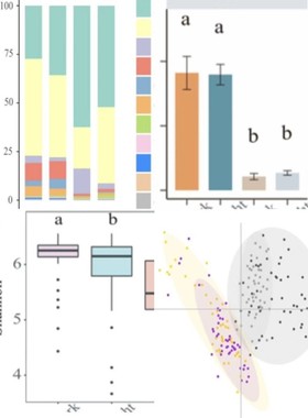 个人】r语言生信转录组cox实证医学Go分析代码sas作图临床spss