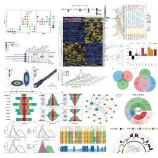 生物信息数据NCBI上传下载分析生信服务TCGAGEO分子对接单细胞