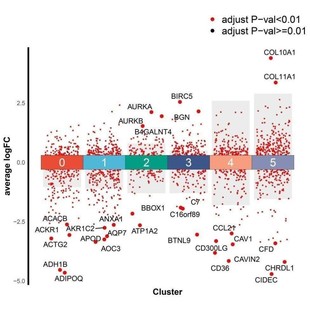 网络药理学SCI文章发表视频教程选题预测药物作用靶点验证实操