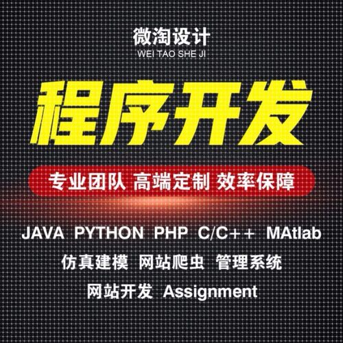 计算机java代做python代编程c++设计小程序定制c#代码编写