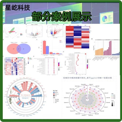 扩因子16s测序ITS测序18s宏基因组测序微生物数据多样分析docker