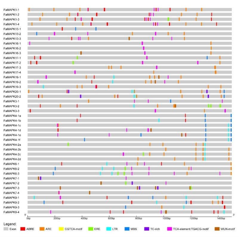 生信分析定制服务2-9分TCGAGEO数据库挖掘差异基因富集单细胞测序