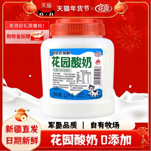 花园酸奶2.4斤大桶罐装新疆特产原味低温酸奶全脂风味发酵乳