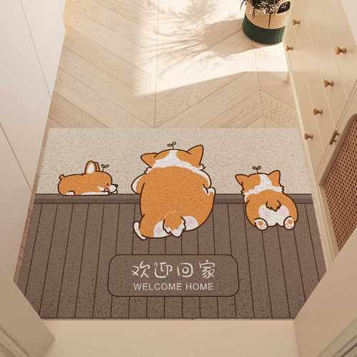 耐脏可土卡通圈地地垫家用冲洗刮泥可地垫丝玄关代发垫入户蹭进门