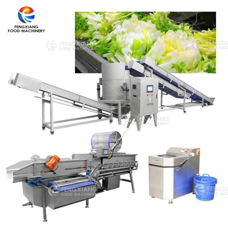 生产多功能涡流洗菜机全自动脱水机高产量连续性上料出料脱