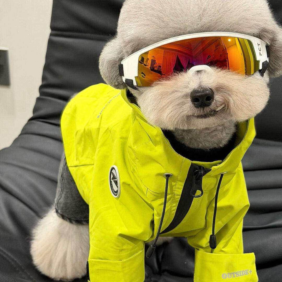狗狗衣服冬装2025新款小型犬防水冲锋衣雪纳瑞比熊泰迪宠物雨衣