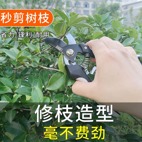 园艺剪枝果树修枝剪刀修剪树枝园林省力修花枝剪家用强力剪子神器