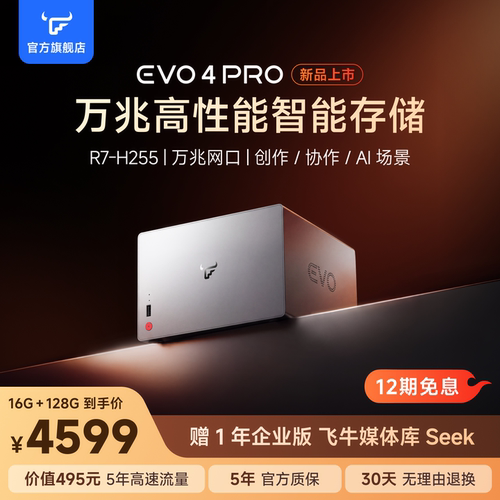 飞牛四盘位万兆nasEVO4PROH255