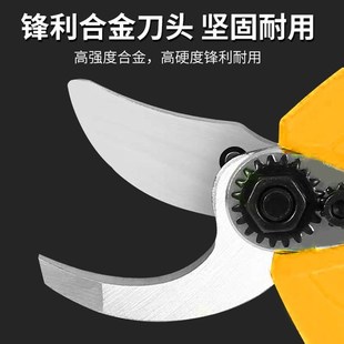 园林粗枝修剪枝剪刀电剪 电动修枝剪刀果树果枝剪树枝剪刀充电F式