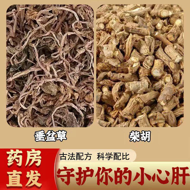 垂盆草柴胡茶倪师推荐正品无硫中药养肝护肝茶养生茶材官方旗舰店