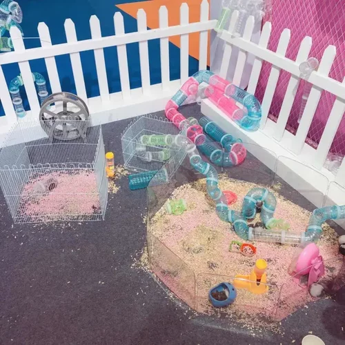 仓鼠管道笼通亚克力笼子隧用品外接配件加大笼子趣味独立站热