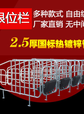 母猪用限位栏定位栏国标2.5厚2.7限位栏10母猪位养猪栏舍设备配件
