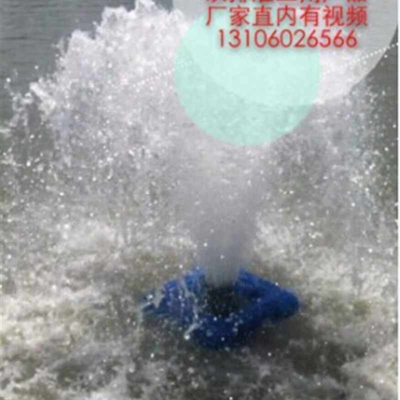 新款两用浮水泵池塘增氧机排水农田灌溉鱼塘增氧泵浮泵浮式水泵