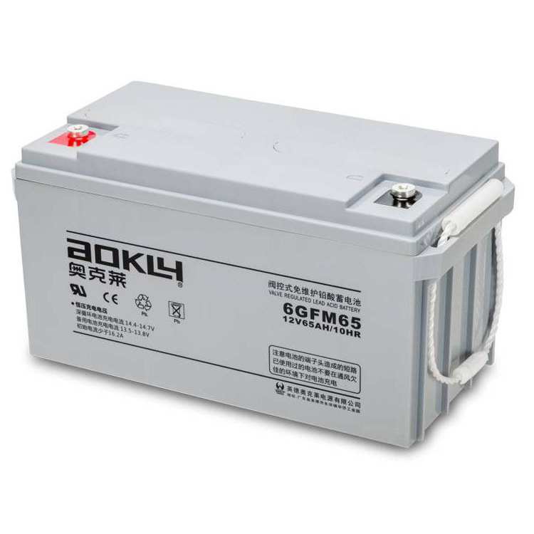 奥克莱蓄电池12V6H 6GFM65 UPS/EPS直流屏机房通信备用电池