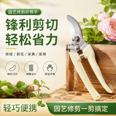 园艺剪刀强力修枝树枝修剪园林