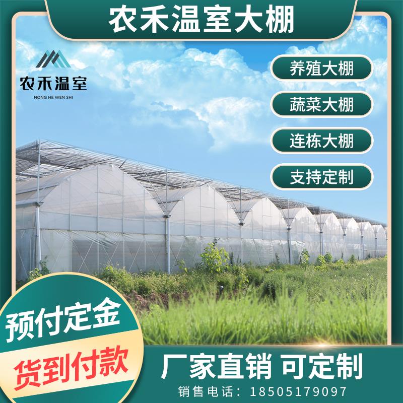 大棚钢管骨架拱棚配件定制蔬菜种植养殖椭圆管连体连栋棚全套支架