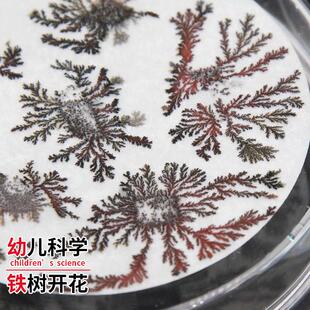 铁树开花科学实验包 小学生DIY教具 趣味化学实验套件 适合青少年