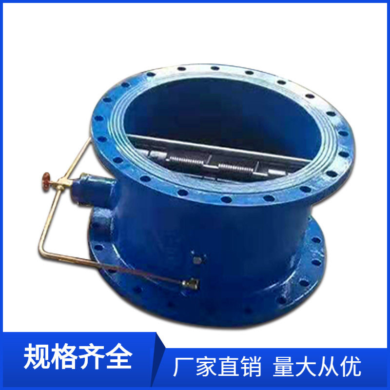 HH49X-10Q大口径蝶式微阻缓闭止回阀DN1400球墨铸铁止回阀DN1200