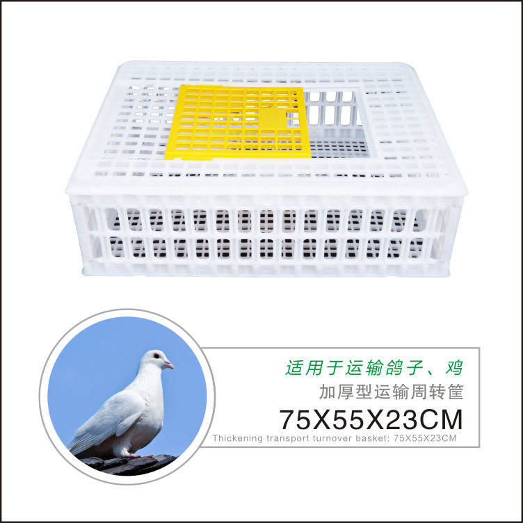 鸡笼周转箱鸭鹅运输筐塑料鸡笼子特大号活鸡周转箱成鸡框养鸡设备