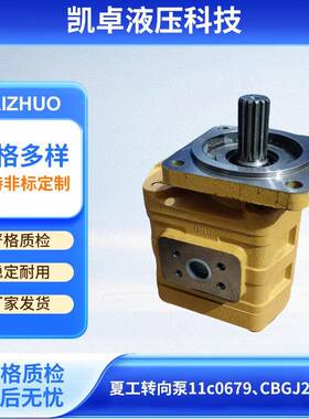 液压泵厂家夏工转向泵11c0679高压齿轮单联油泵CBGJ2050BL