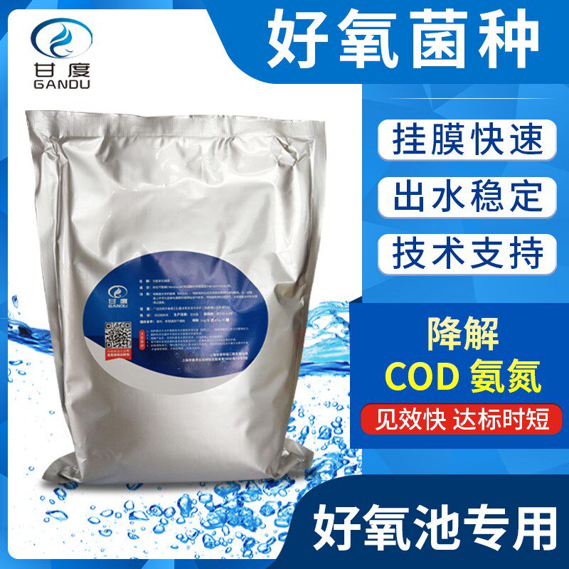 甘度污水处理菌种好喜氧菌曝气池专用微生物活菌脱氮降有机物厂家