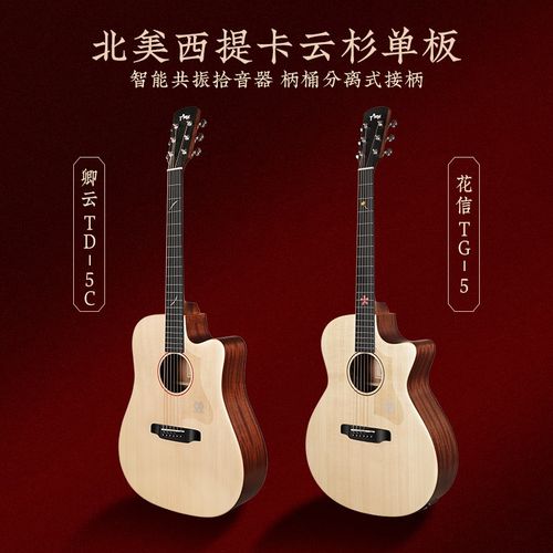Tyma泰玛TG5/TD5c国风民谣单板吉他男女生初学者面单电箱40/41寸
