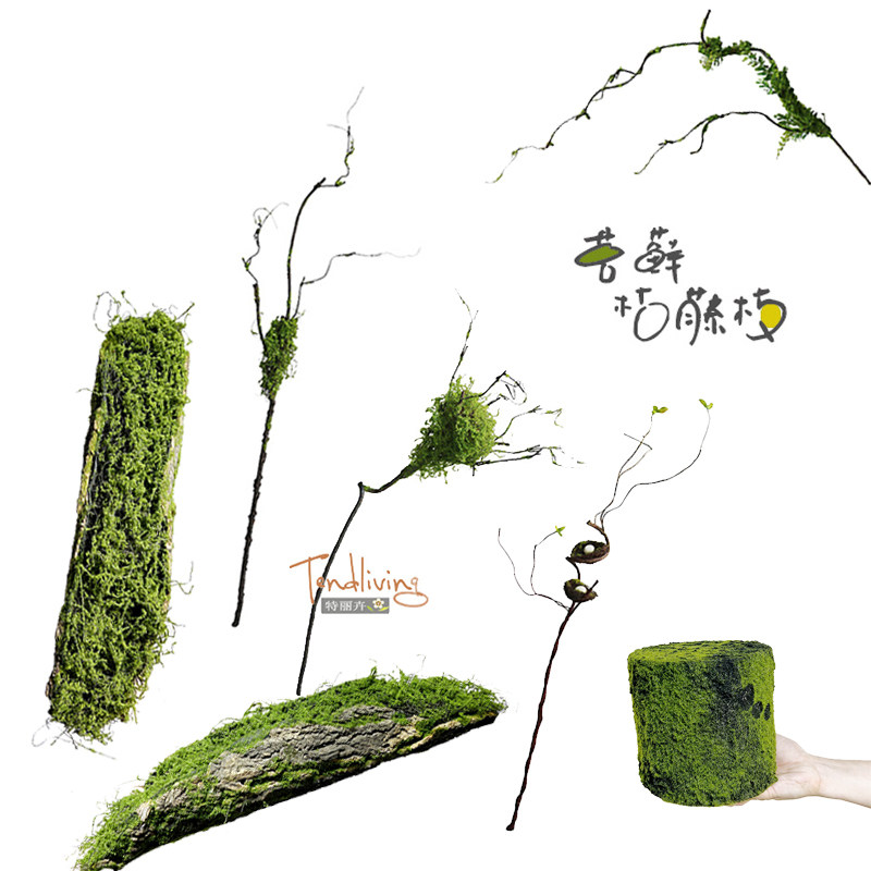 仿真单支枯藤蔓苔藓鸟巢窝枝条森林系植物墙柱子缠绕装饰道具摆设