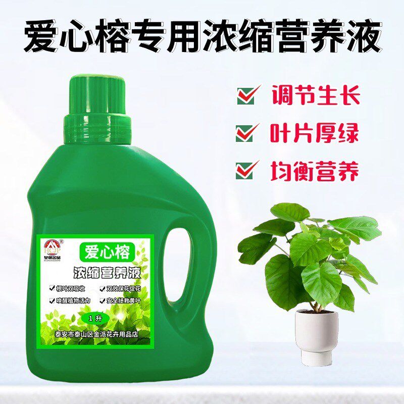 爱心榕心叶榕专用浓缩营养液盆栽绿植物黄叶通用氮磷钾液体花肥料