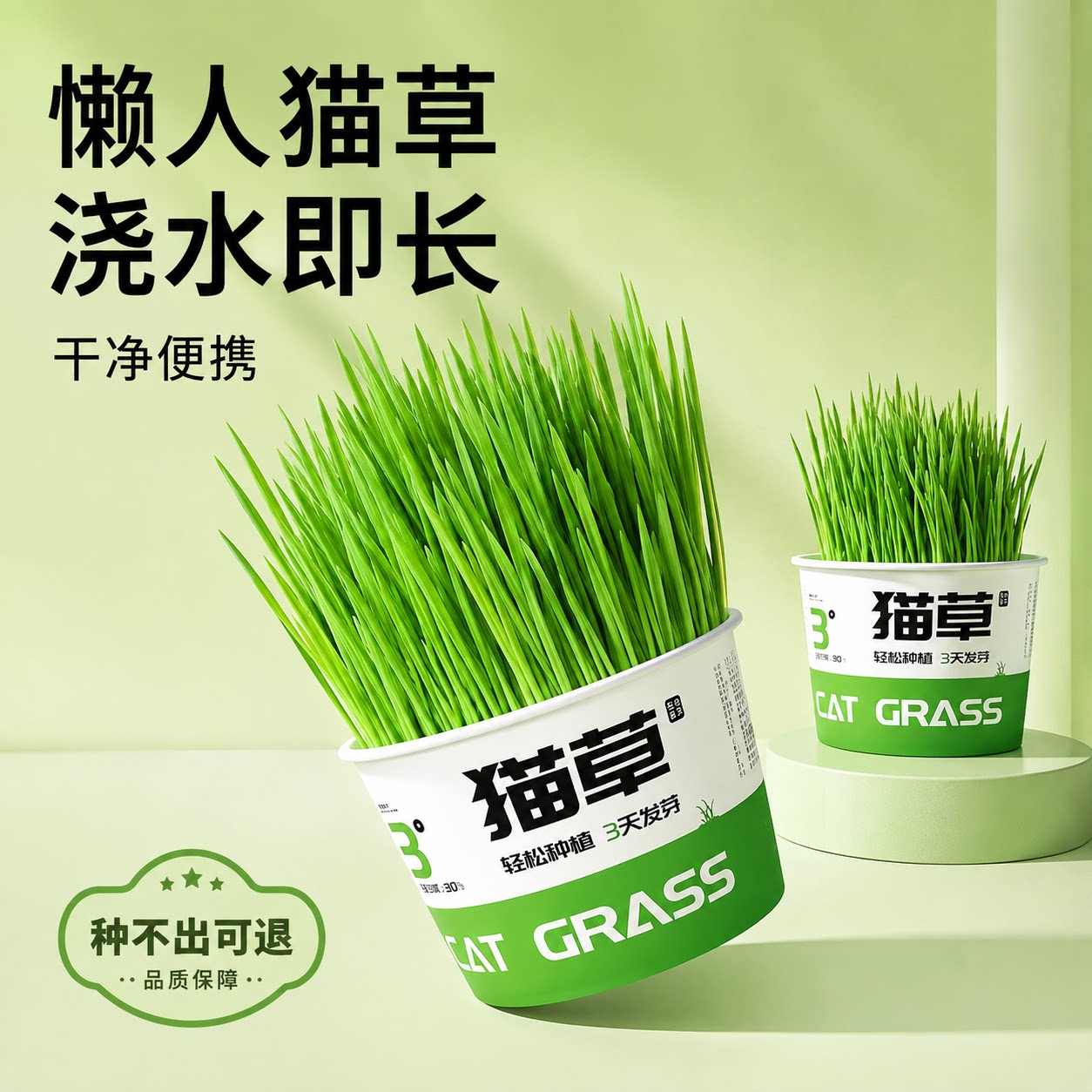 懒人泡面轻松猫草盆栽猫咪化毛草天然自种水培猫草种子猫咪零食