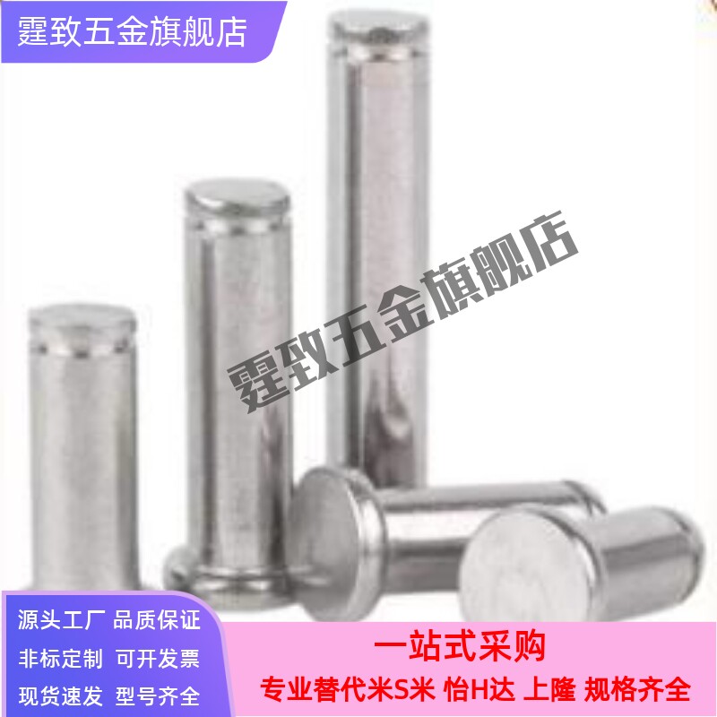 替代米思SHCCG8/10/6/5/4/12-10/15/20/25铰链销带肩扣环型