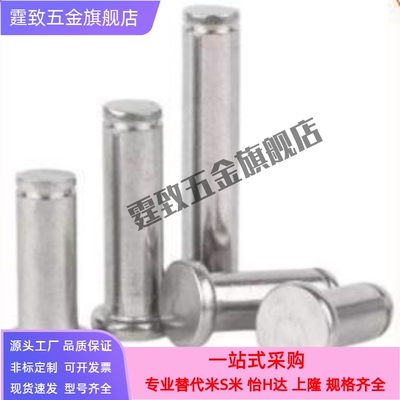 替代米思SHCCG8/10/6/5/4/12-10/15/20/25铰链销带肩扣环型