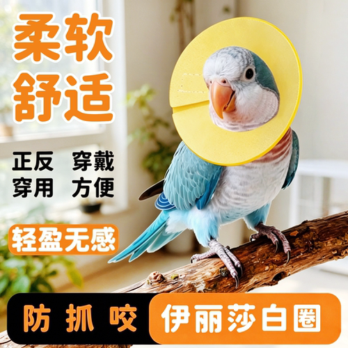 宠帮仕鹦鹉伊丽莎白圈防拔毛防咬