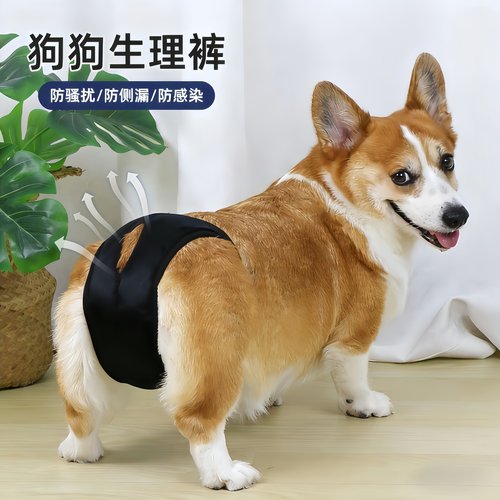 宠物狗狗生理裤姨妈裤防脱防交配