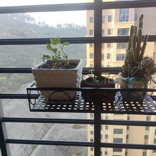铁艺防盗窗栏杆多肉花架窗台边框窄花架阳台栏杆缝隙小花架晒鞋架