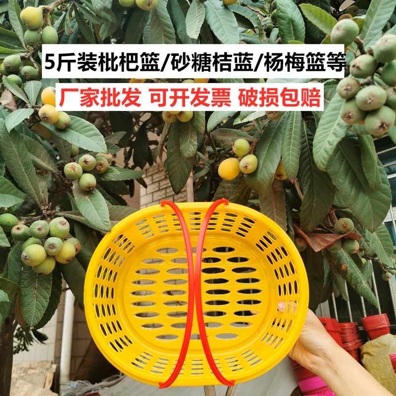 5斤装沙糖桔框塑料鸡蛋篮水果篮采摘篮芒果枇杷篮手提胶框带盖子