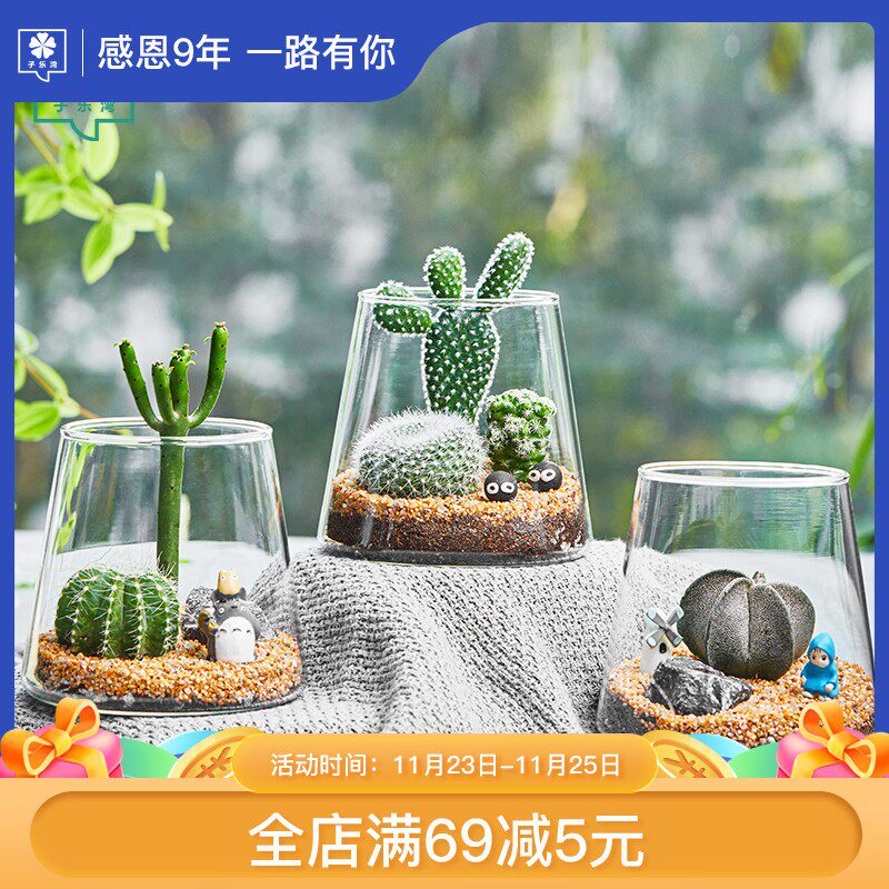 仙人掌桌面好养微景观摆件创意仙人球小盆景趣味DIY迷你多肉植物